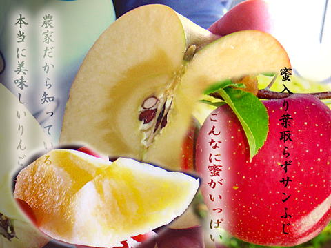 蜜入りはやっぱり、葉取らずサンふじ！　生産者から絶対お勧めのりんごです！
