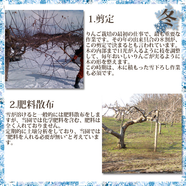 春　1.剪定りんご栽培の最初の仕事で、最も重要な作業です。その年の出来具合の８割が、この剪定で決まるとも言われています。木の内部まで日光が入るように枝を調整して、毎年おいしいりんごが実るように木の形を整えます。この時期は、木に積もった雪下ろし作業も必須です。　2.肥料散布雪が溶けると一般的には肥料散布をしますが、当園では化学肥料を含む、肥料は全く入れておりません。定期的に土壌分析をしており、当園では