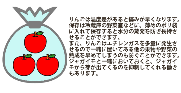 りんごの保存方法 りんごは温度差があると傷みが早くなります。保存は冷蔵庫の野菜室などに、薄めのポリ袋に入れて置くと水分の蒸発を防ぎ長持させることができます。また、りんごはエチレンガスを多量に発生させるので一緒に置いてある他の果物の熟成を早めてしまうのも防ぐことができます。ジャガイモと一緒においておくと、ジャガイモから芽が出てくるのを抑制してくれる働きもあります。