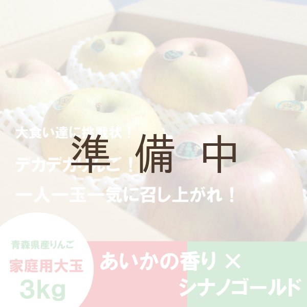 画像1: ※数量限定※ デカデカ！葉とらずあいかの香り×シナノゴールド （一玉約500g）≪送料込≫ (1)