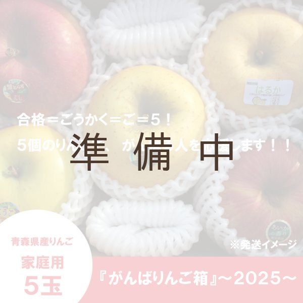 画像1: 【ネット限定】春に向かって頑張るあなたへ『がんばりんご箱』〜2025〜≪送料込≫ (1)