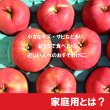 画像2: 【ニコイチセット】早生ふじ＆トキ　家庭用　３kg×２箱 ≪送料込≫ (2)