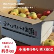 画像2: 【詰合せ】小玉モリモリMIXBOX　約８kg ≪送料込≫ (2)