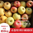 画像1: 【詰合せ】小玉モリモリMIXBOX　約８kg ≪送料込≫ (1)