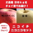 画像1: 【ニコイチセット】葉とらずサンふじ＆金星　家庭用　３kg×２箱 (1)