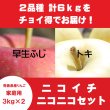 画像1: 【ニコイチセット】早生ふじ＆トキ　家庭用　３kg×２箱 ≪送料込≫ (1)