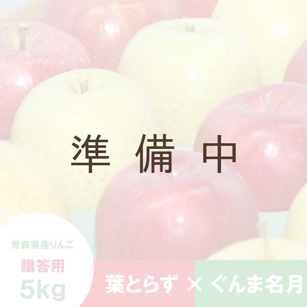 画像1: ※12月上旬発送※【ミックスセット】葉とらずサンふじ＆ぐんま名月　贈答用　５kg ≪送料込≫ (1)