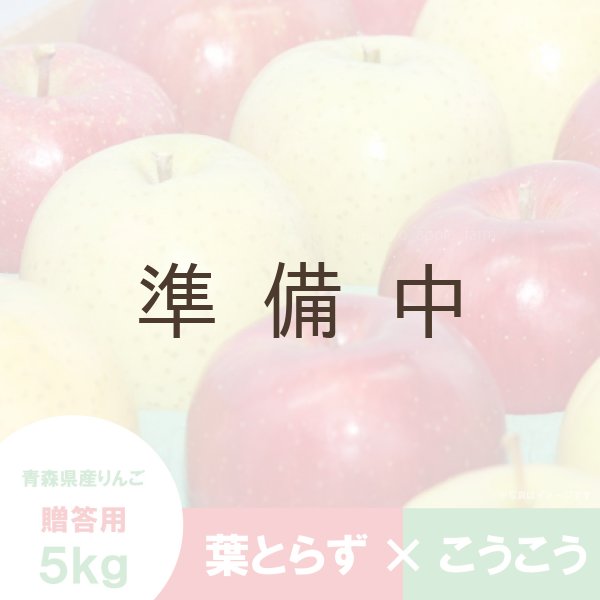 画像1: ※12月上旬発送※【ミックスセット】葉とらずサンふじ＆こうこう　贈答用　５kg ≪送料込≫ (1)