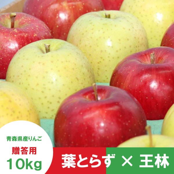 画像1: ※12月第二週発送予定※【ミックスセット】葉とらずサンふじ＆王林　贈答用　１０kg ≪送料込≫ (1)