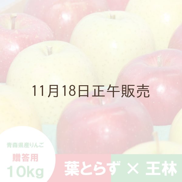 画像1: ※12月第二週発送予定※【ミックスセット】葉とらずサンふじ＆王林　贈答用　１０kg ≪送料込≫ (1)