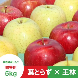 青森りんご｜産地直送・通販のまさひろ林檎園