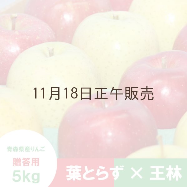 画像1: ※12月第二週発送予定※【ミックスセット】葉とらずサンふじ＆王林　贈答用　５kg ≪送料込≫ (1)