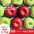 画像2: ☆恋恋(こいこい)りんごボックス☆紅玉×はつ恋ぐりん　家庭用約２.７kg（約10個） ≪送料込≫ (2)