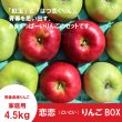 画像1: ☆恋恋(こいこい)りんごボックス☆紅玉×はつ恋ぐりん　家庭用約２.７kg（約10個） ≪送料込≫ (1)
