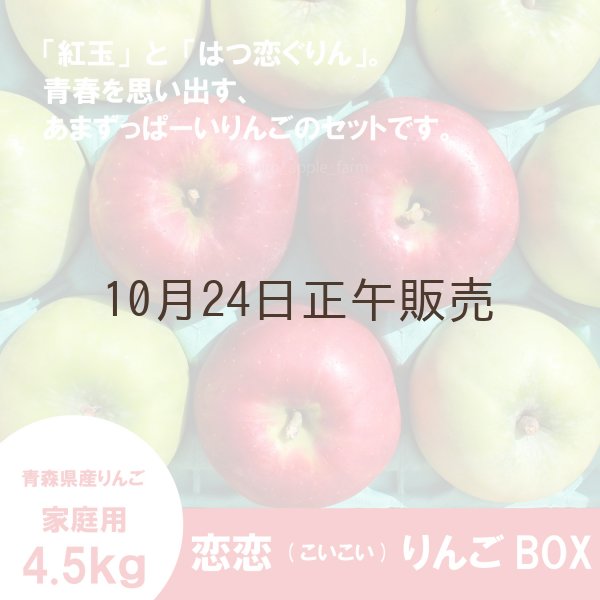 画像1: ☆恋恋(こいこい)りんごボックス☆紅玉×はつ恋ぐりん　家庭用約２.７kg（約10個） ≪送料込≫ (1)