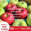 画像2: ☆恋恋(こいこい)りんごボックス☆紅玉×はつ恋ぐりん　家庭用約２.７kg（約10個） ≪送料込≫ (2)