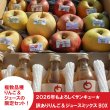 画像1: 【ネット限定】2026年もよろしくサンキュー★訳ありりんご＆ジュースミックスBOX ≪送料込≫ (1)