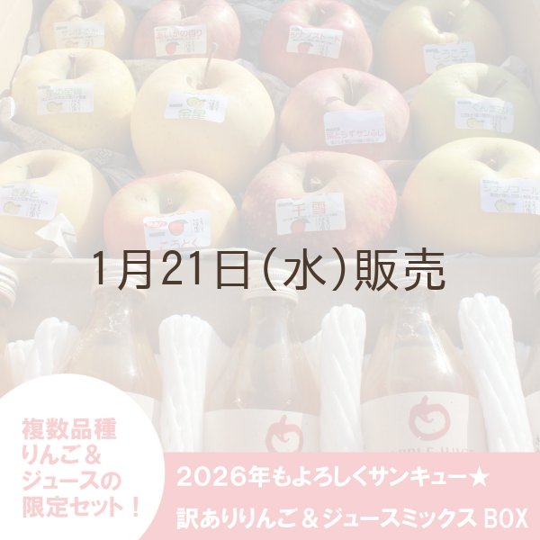 画像1: 【ネット限定】2026年もよろしくサンキュー★訳ありりんご＆ジュースミックスBOX ≪送料込≫ (1)