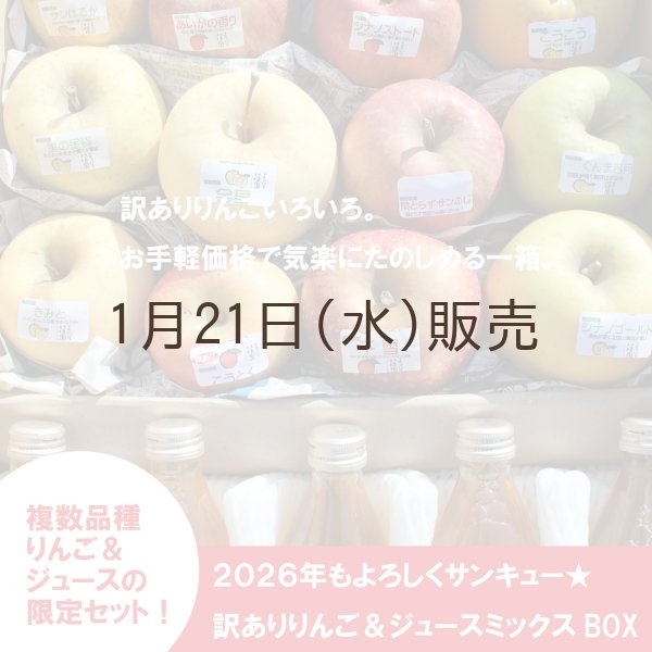 画像2: 【ネット限定】2026年もよろしくサンキュー★訳ありりんご＆ジュースミックスBOX ≪送料込≫ (2)