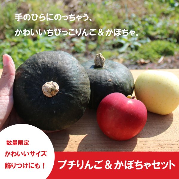 画像1: ★プチりんご＆かぼちゃセット 約4kg ≪送料込≫ (1)