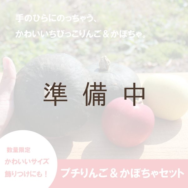 画像1: ★プチりんご＆かぼちゃセット 約4kg ≪送料込≫ (1)