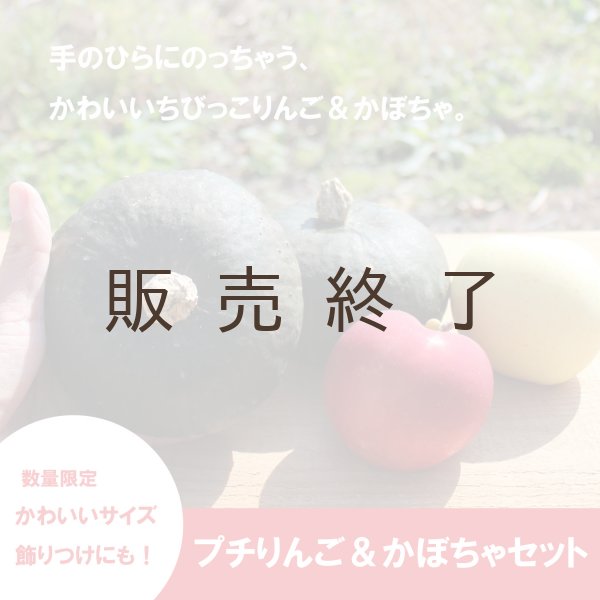 画像1: ★プチりんご＆かぼちゃセット 約4kg ≪送料込≫ (1)