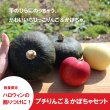 画像1: ★ハロウィンにどうぞ！★プチりんご＆かぼちゃセット 約4kg ≪送料込≫ (1)