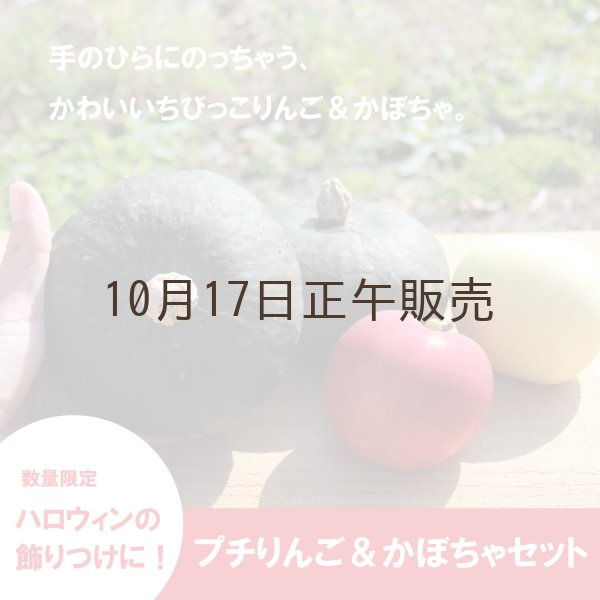 画像1: ★ハロウィンにどうぞ！★プチりんご＆かぼちゃセット 約4kg ≪送料込≫ (1)