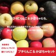 画像2: ★プチりんご＆かぼちゃセット 約4kg ≪送料込≫ (2)