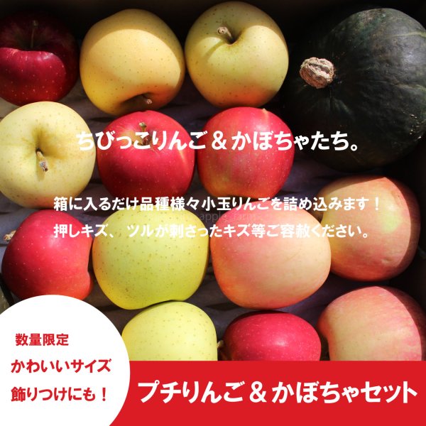 画像2: ★プチりんご＆かぼちゃセット 約4kg ≪送料込≫ (2)