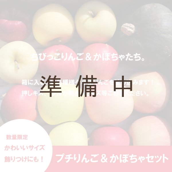 画像2: ★プチりんご＆かぼちゃセット 約4kg ≪送料込≫ (2)