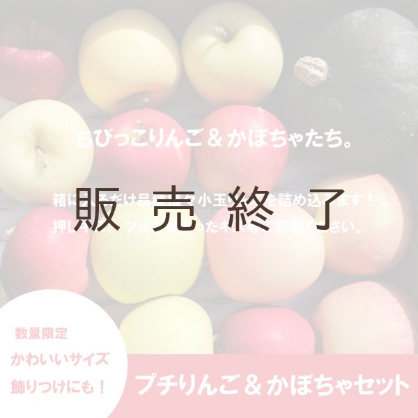 画像2: ★プチりんご＆かぼちゃセット 約4kg ≪送料込≫ (2)