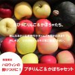 画像2: ★ハロウィンにどうぞ！★プチりんご＆かぼちゃセット 約4kg ≪送料込≫ (2)