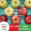 画像2: ※数量限定※【ミックスセット】サンつがる×きおう　家庭用 ３kg ≪送料込≫ (2)