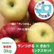 画像1: ※数量限定※【ミックスセット】サンつがる×きおう　家庭用 ３kg ≪送料込≫ (1)