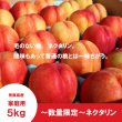 画像1: ※数量限定※　ネクタリン　家庭用　５kg（約23個）≪送料込≫ (1)