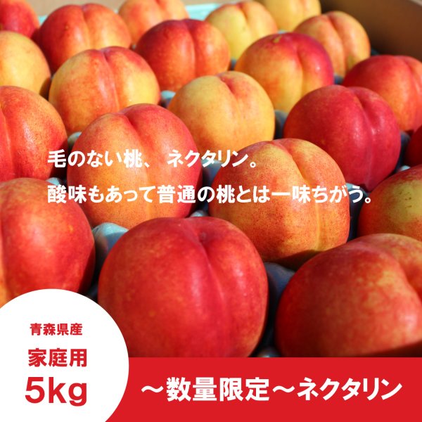 画像1: ※数量限定※　ネクタリン　家庭用　５kg（約23個）≪送料込≫ (1)