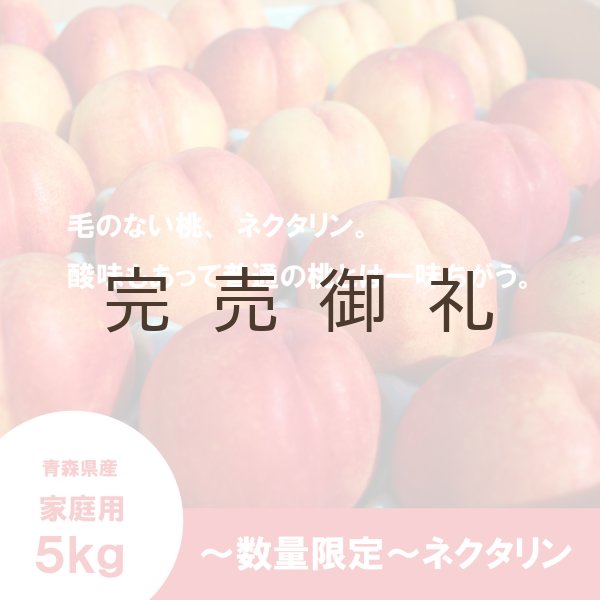 画像1: ※数量限定※ ネクタリン 家庭用 5kg(約23個)≪送料込≫ (1)