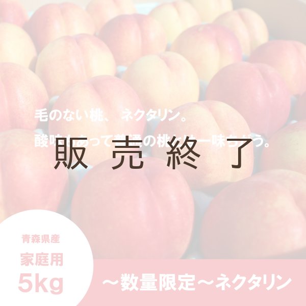画像1: ※数量限定※ ネクタリン 家庭用 ５kg（約20〜23個）≪送料込≫ (1)