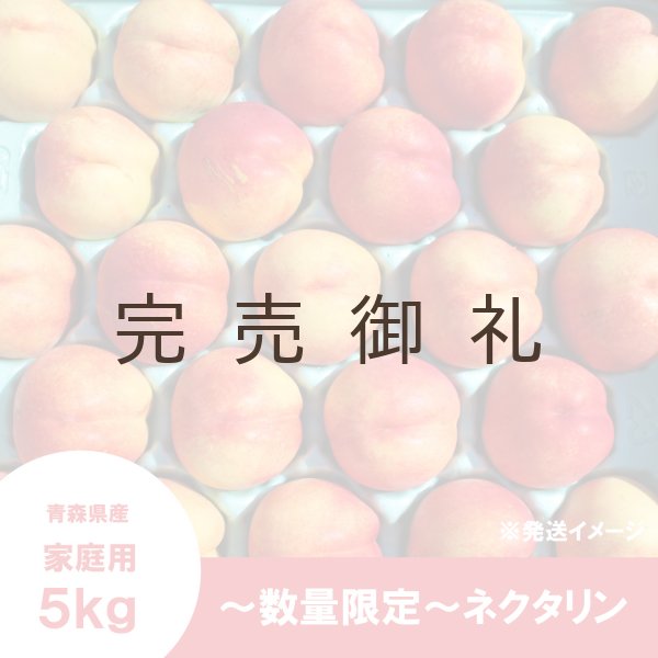 画像2: ※数量限定※ ネクタリン 家庭用 5kg(約23個)≪送料込≫ (2)