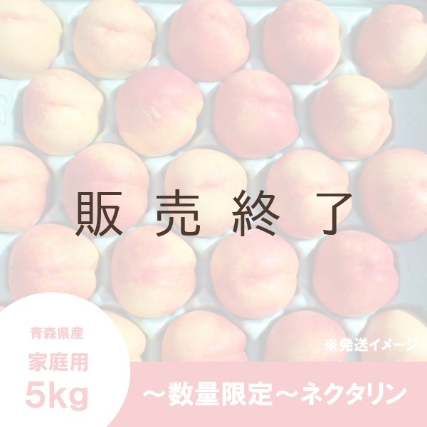 画像2: ※数量限定※ ネクタリン 家庭用 ５kg（約20〜23個）≪送料込≫ (2)