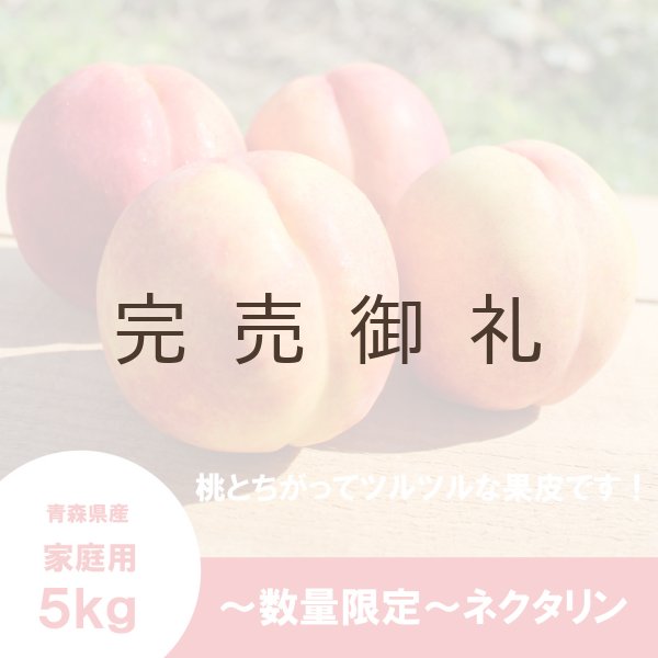 画像3: ※数量限定※ ネクタリン 家庭用 5kg(約23個)≪送料込≫ (3)