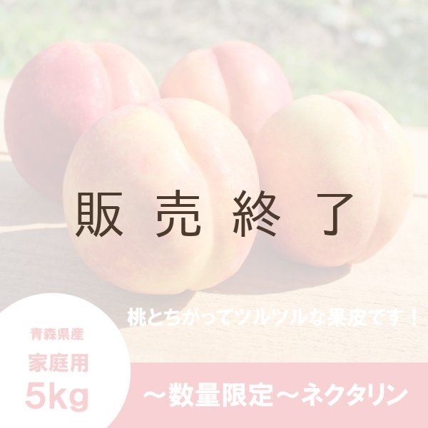 画像3: ※数量限定※ ネクタリン 家庭用 ５kg（約20〜23個）≪送料込≫ (3)