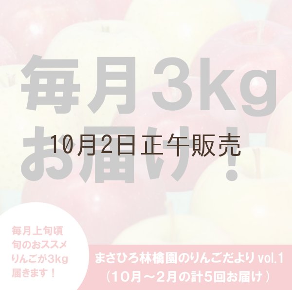 画像1: ※11月上旬〜発送※ まさひろ林檎園のりんごだよりvol.2(11〜2月、毎月約3Kg一箱ずつお届け) ≪送料込≫ (1)
