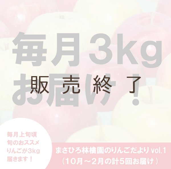画像1: ※10月上旬〜発送※ まさひろ林檎園のりんごだよりvol.1 (10〜2月、毎月約3Kg一箱ずつお届け) ≪送料込≫ (1)
