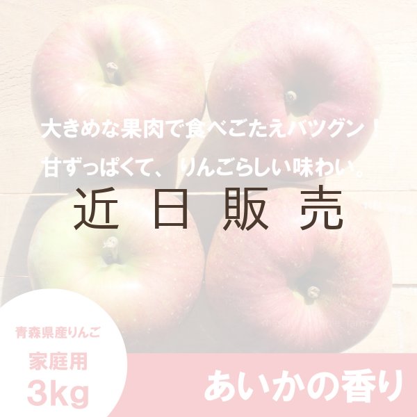 画像1: あいかの香り　家庭用　３kg （約8-11個）≪送料込≫ (1)