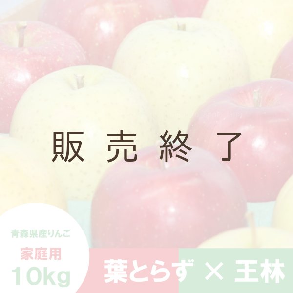画像1: ※12月第二週発送予定※【ミックスセット】 葉とらずサンふじ＆王林　家庭用　１０kg (1)