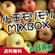 画像1: 【詰合せ】小玉モリモリMIXBOX　約８kg (1)
