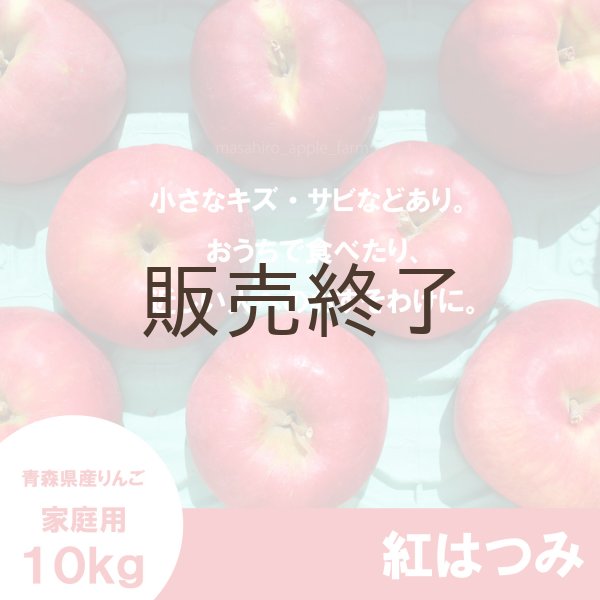 画像2: 紅はつみ　家庭用　１０kg（約24-40個）≪送料込≫ (2)