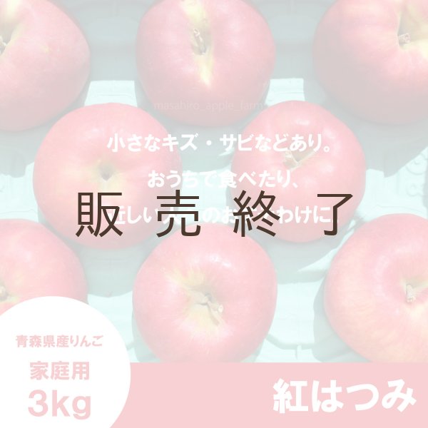 画像2: 紅はつみ　家庭用　３kg（約7-12個）≪送料込≫ (2)